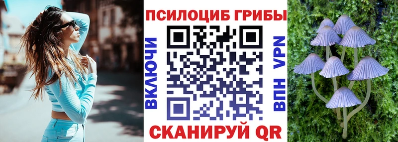 Псилоцибиновые грибы Magic Shrooms  цены   Родники 